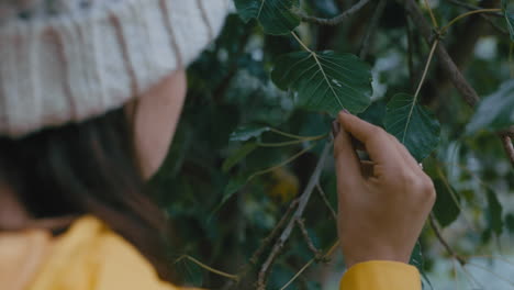 close up woman enjoying nature touching tree leaf looking at natural beauty in garden park