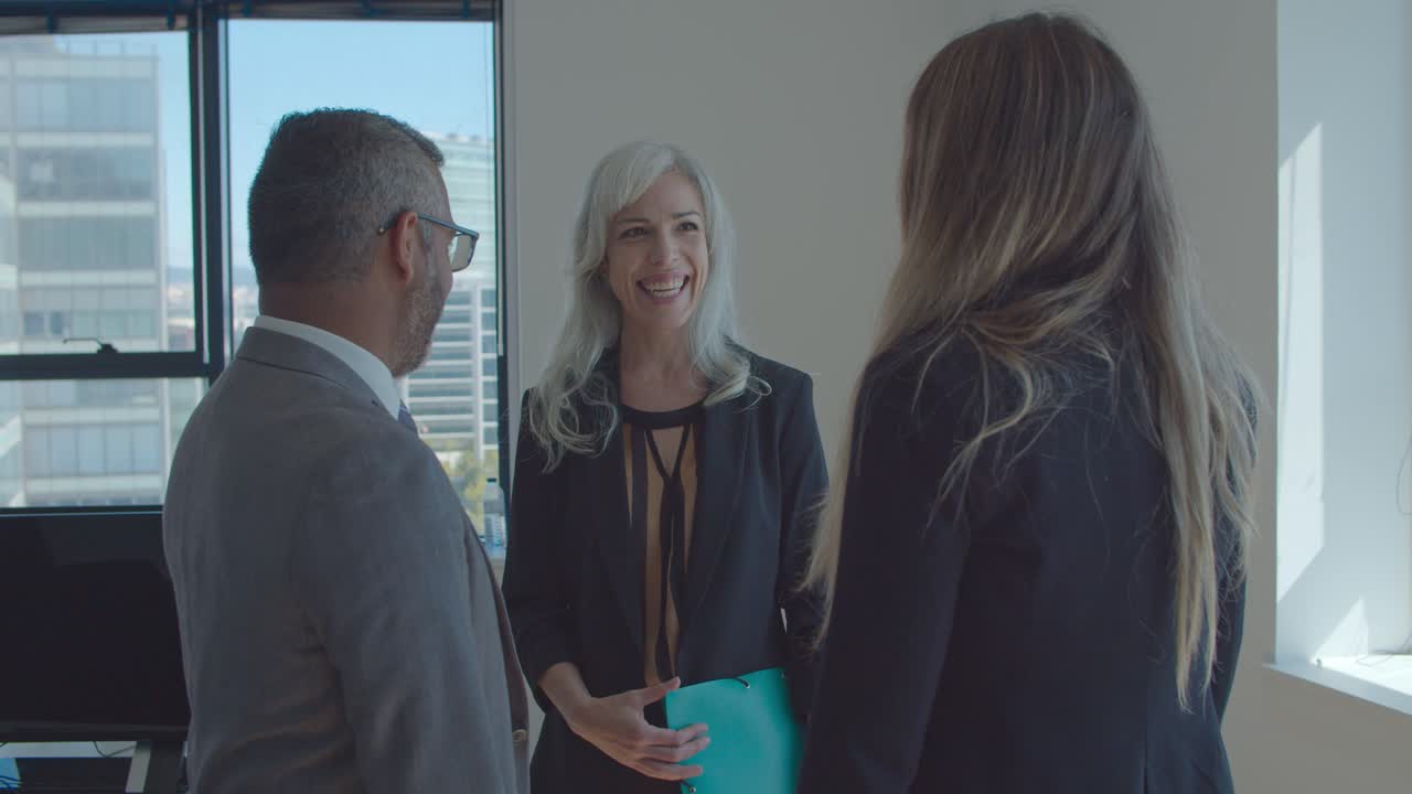 Positive businesswoman discussing project with partners