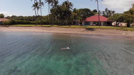 A-swimmer-snorkels-in-the-clear-turquoise-water-off-of-Olowalu-beach-in-Maui,-Hawaii