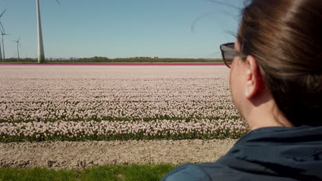 Nahaufnahme-Und-Dolly-In-Aufnahme-Einer-Frau,-Die-Steht-Und-Die-Aussicht-In-Der-Nähe-Der-Weißen-Tulpenfelder-In-Den-Niederlanden-Genießt