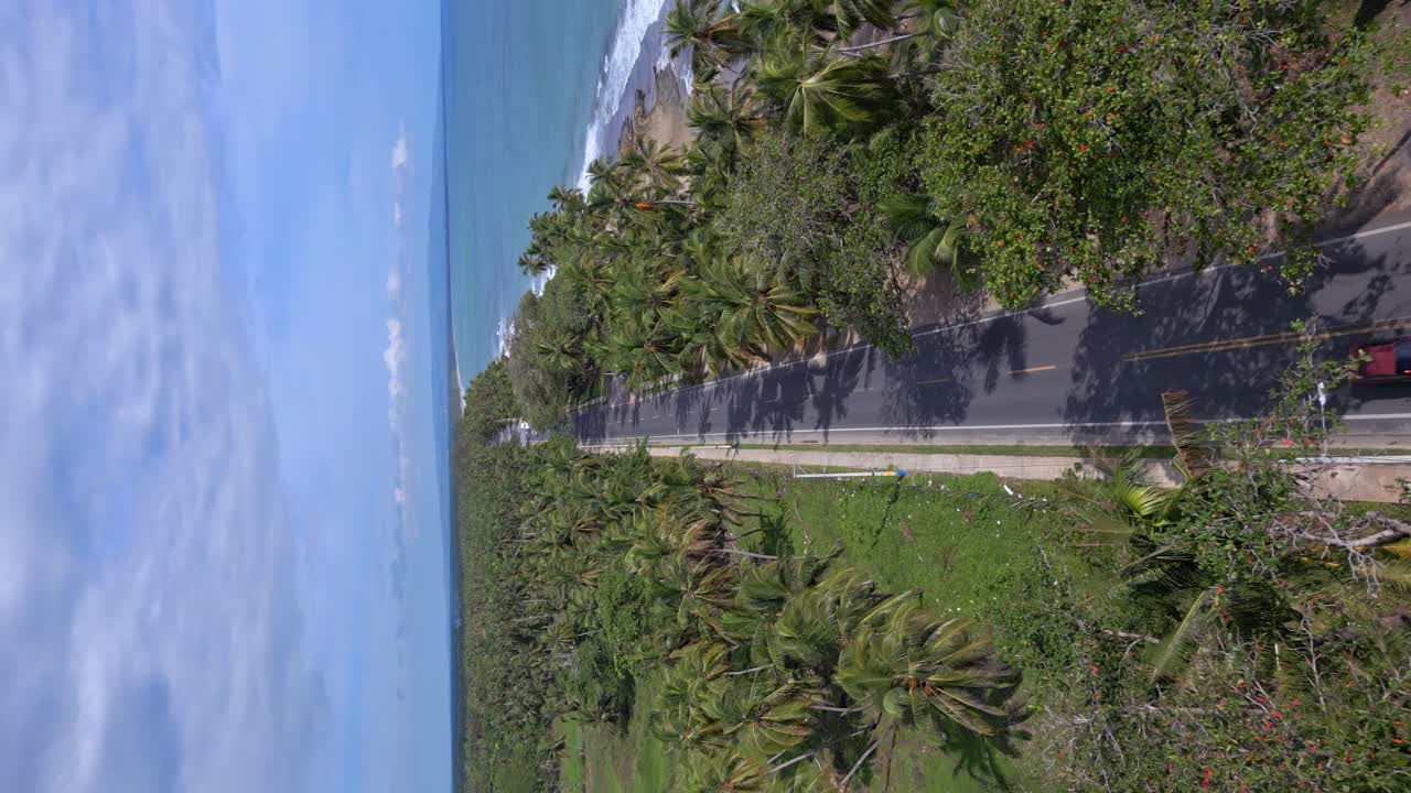 Cars driving on road between palms along ocean, Malecon de Nagua in Dominican Republic