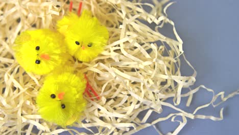 pollitos de pascua en tiro de foco de paja