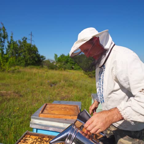 beekeeper inspects bees. apiarist on a bee farm on industrial pipes background. wooden hives on green grass.
