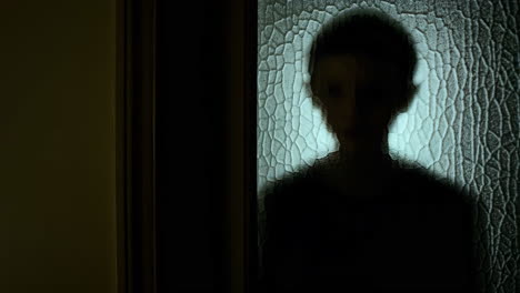 silhouette of a person behind a frosted glass door