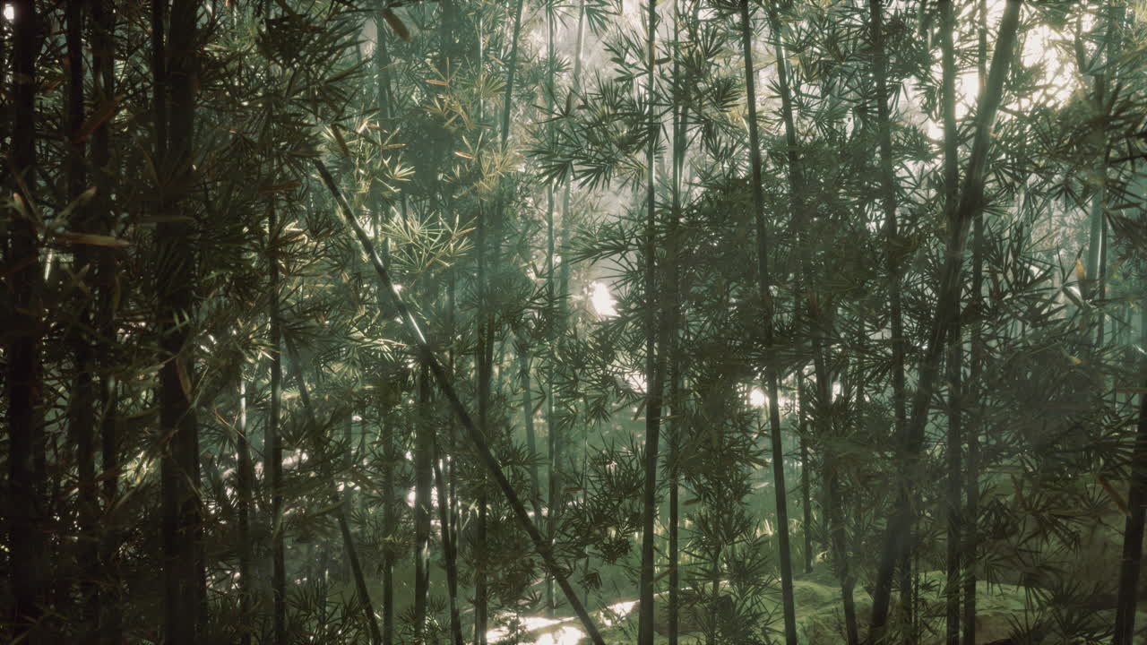la luz del sol filtrándose a través de un denso bosque de bambú