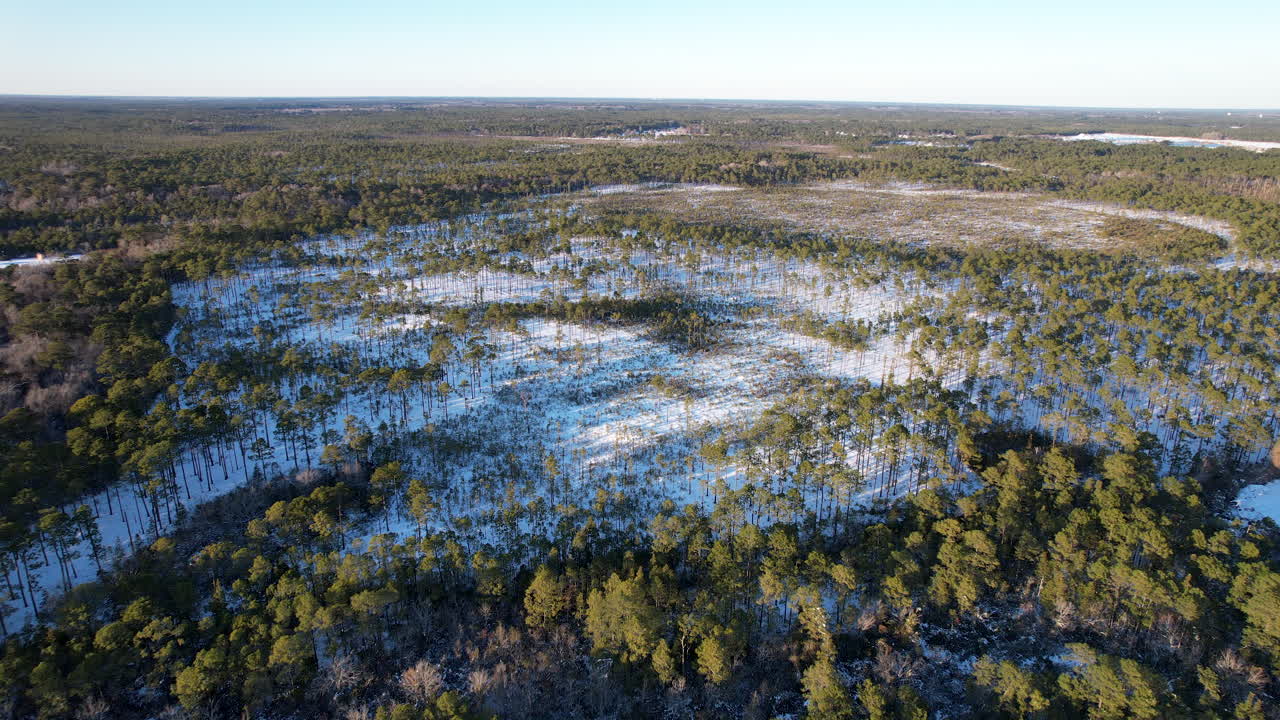 Lunta pitkäneulasmäntymetsässä, dronen ilmakuvamateriaalia.