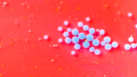 burbujas de colores brillantes tinta de aceite de movimiento lento. estructura de burbujas coloridas de movimiento caótico. burbujas brillantes de colores. fondo de sabor de chicle rosado y azul. gotas de colores en movimiento. burbullas pop