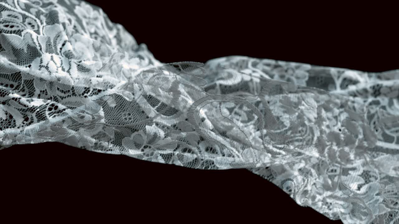 우아한 색 렌즈 직물