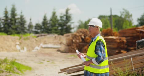 male worker examining plank's stack 1