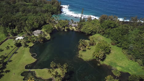 big island pond leading to pacific ocean in hawaii lined with palm trees