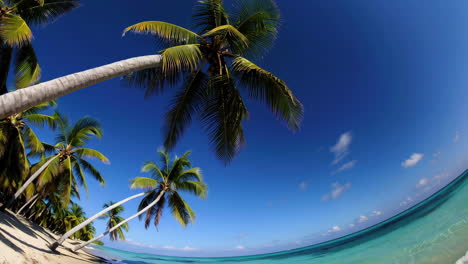 el paraíso de las playas tropicales