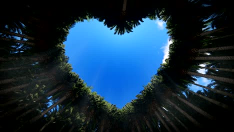 looking up through a heart of trees against timelapse clouds, seamless loop, 4k