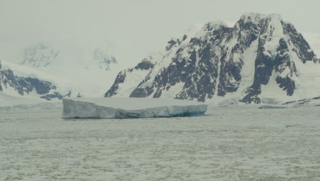 iceberg y campo de hielo