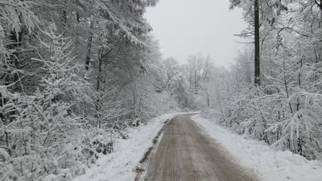 camino de nieve despejado en medio de la nada bosques de elblag polonia