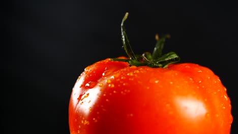 organic red tomato on black background