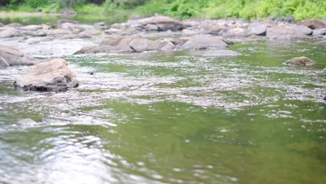 Stream-flowing-into-a-pond-in-slow-motion-in-summer