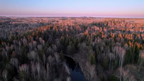 Altos-árboles-Desnudos-Y-Coníferas-Verdes-En-Flor-Se-Reflejan-En-El-Río-Sinuoso-En-La-Vasta-Naturaleza-De-Lituania-En-Una-Puesta-De-Sol-De-Primavera