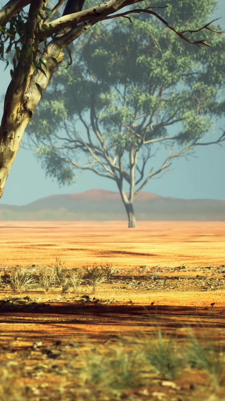 A luz do sol filtra-se pelas árvores em uma paisagem aberta com solo seco e colinas.