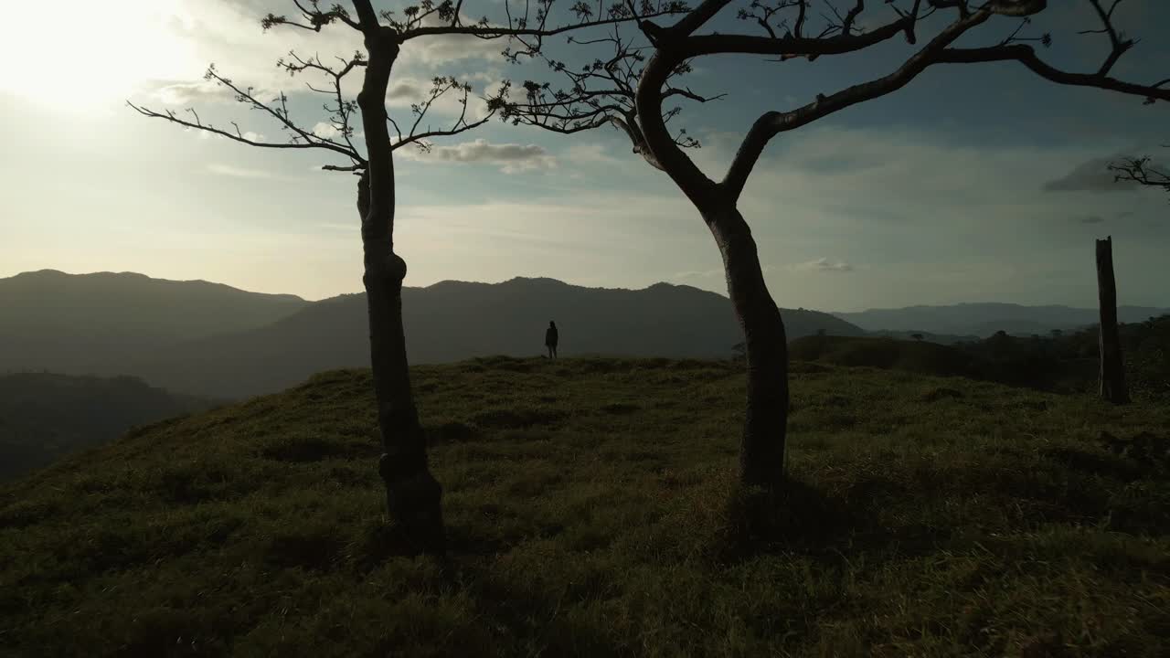 through the trees, beautiful nature