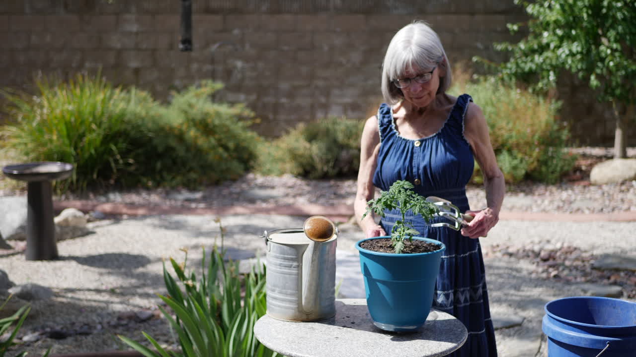 una linda anciana con el pelo gris recogiendo sus herramientas de jardinería después de plantar una planta de tomate a cámara lenta