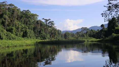 Floating-on-a-quite-Creek-in-the-Amazon-rain-forest-in-peaceful-nature-to-watch-birds-near-Cusco,-Peru