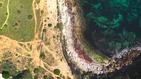 people on the rocky shores of tropical beaches in algarve, portugal. aerial ascending shot