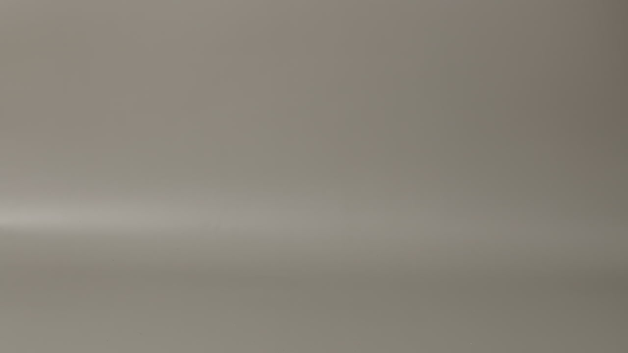 카메라 왼쪽에서 카메라 오른쪽으로 달리는 스모킹 새끼 고양이의 느린 움직임