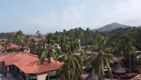 Aerial rises from resort hotel swimming pool over sunny palm trees