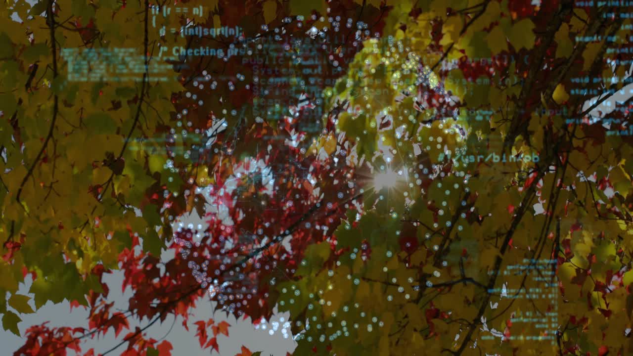 Mostrando rami d'acero con foglie gialle e rosse in un parco, con un overlay di codice verde-blu e punti bianchi.
