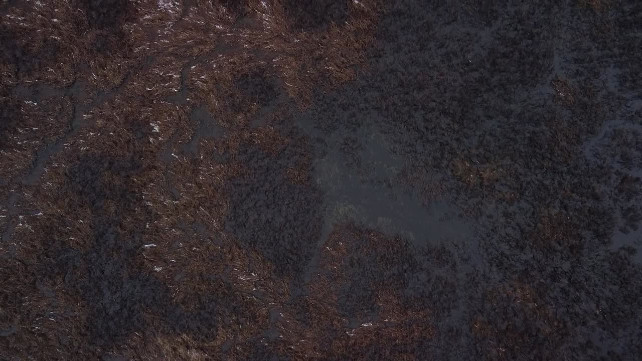 vista de pájaro de las tierras pantanosas de los ríos invernales con aguas oscuras y frías y pastos nevados
