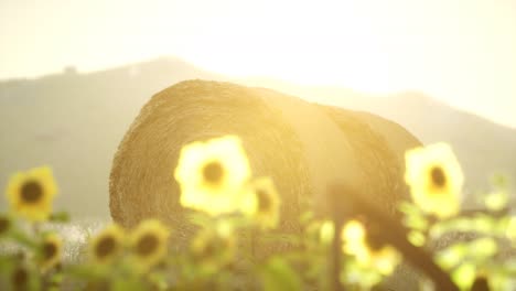 hay-bales-in-the-sunset