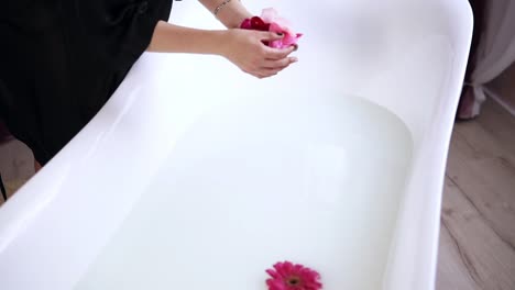 mujer joven atractiva en bata negra arrojando flores a la bañera llena de leche, preparándose para tomar un baño caliente