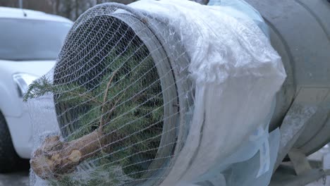 Cerca-Del-árbol-De-Navidad-Vendido-En-El-Estacionamiento-Al-Aire-Libre,-Tres-Se-Tiran-A-Través-De-La-Máquina-Empacadora