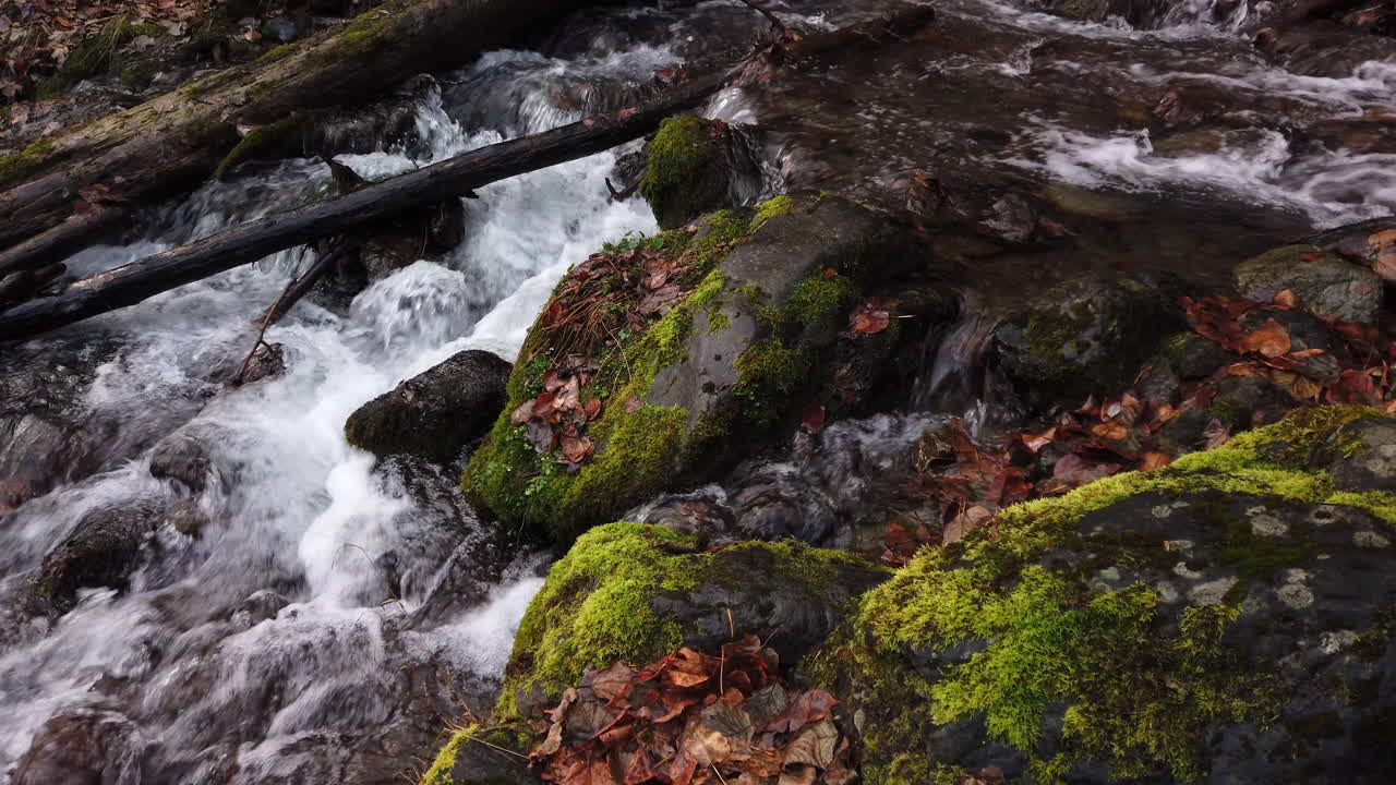 Slow motion footage of water cascading over moss covered rocks and fallen trees on Falls creek in Chugach state park in late autumn near Anchorage Alaska