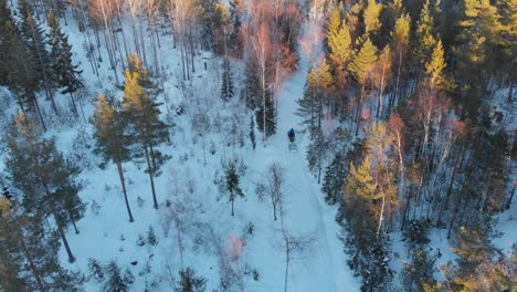 Snowmobile-Creating-Cross-country-Ski-Trail-Through-Trees-On-Snowy-Landscape-In-Winter