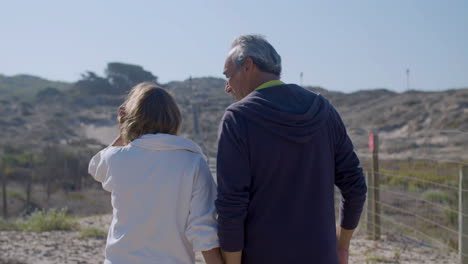 Couple-holding-hands-and-walking-on-background-of-mountains