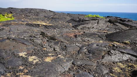 walking over lava flows on the coast of hawaii with the pacific ocean in the background and some indigenous vegetation