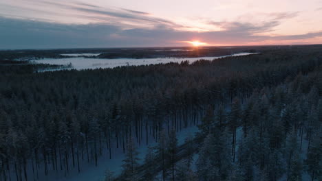 winter road in dense thicket during golden hour in finland