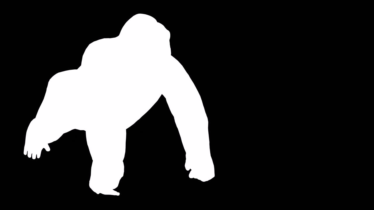 비디오의 끝에 포함 된 알파 채널과 함께 검은 바탕에서 달리는 고릴라, 3d 애니메이션, 관점 보기, 애니메이션 동물, 원활한 루프 애니메이션