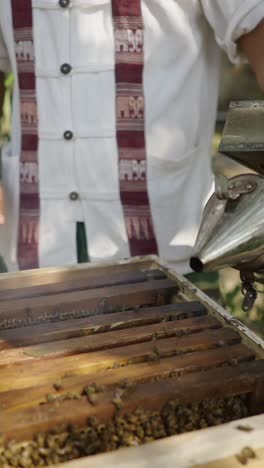 beekeeper inspecting honeycomb frames