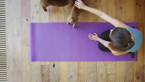 overhead view of young woman with pet dogs about to do yoga on wooden floor