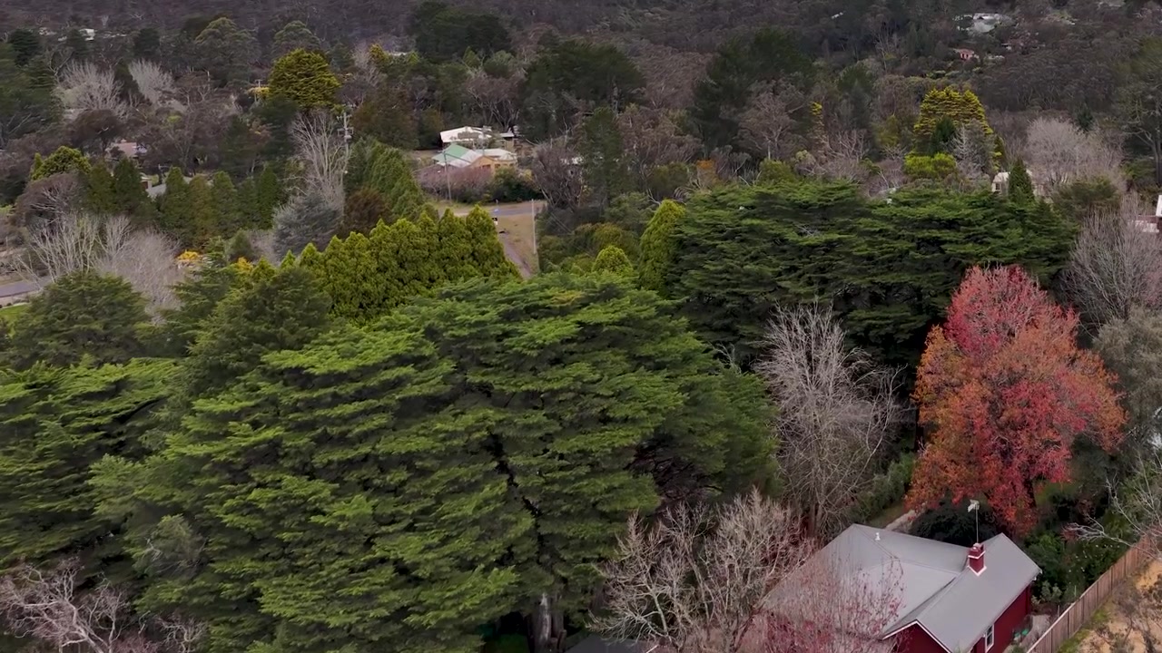 Avustralya'nın Wentworth Falls bölgesindeki yoğun okaliptüs ormanlarının arasına gizlenmiş konutların drone çekimi