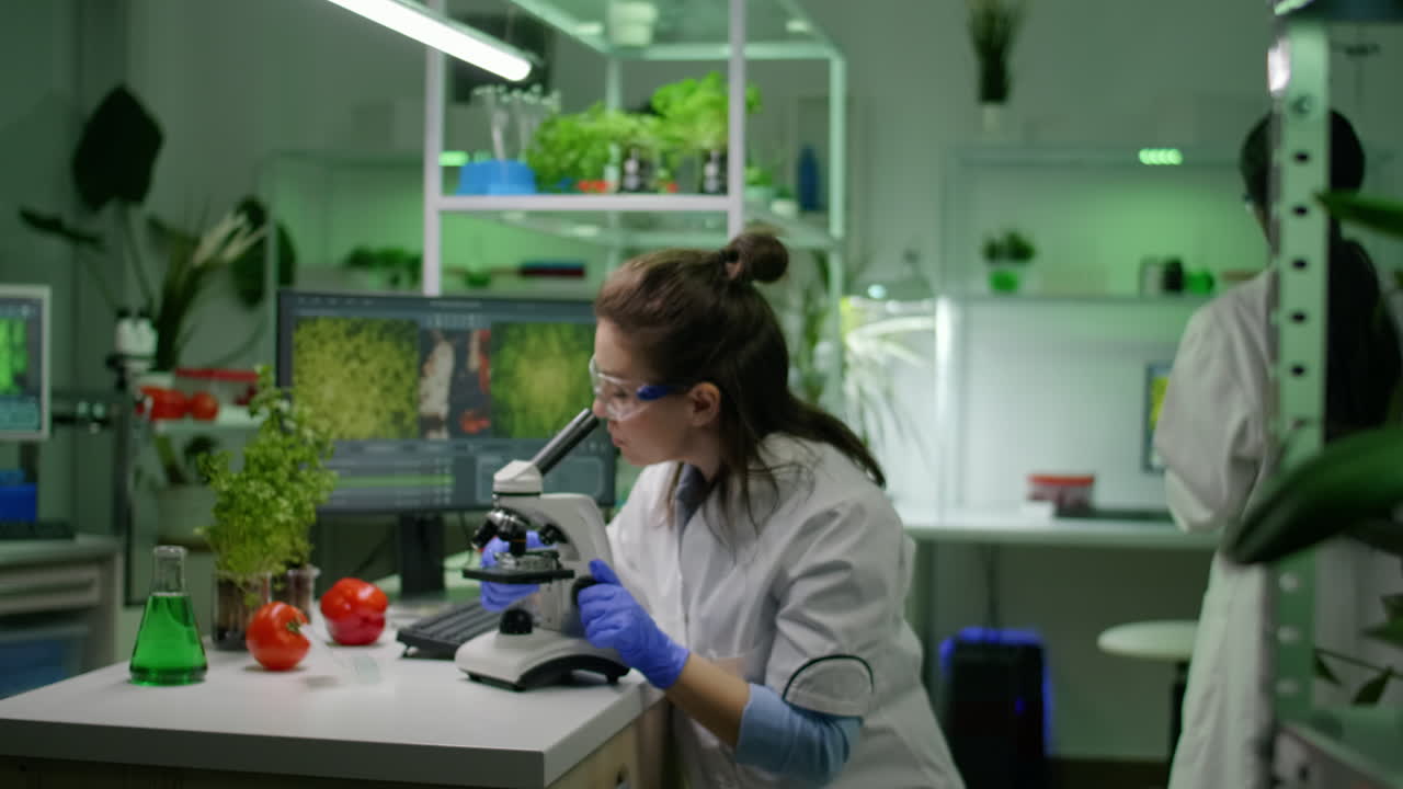 Slide view of chemist researcher analyzing gmo green leaf under medical microscope