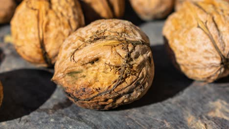 zoom in on a walnut