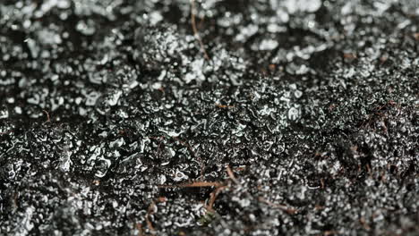 wet soil closeup