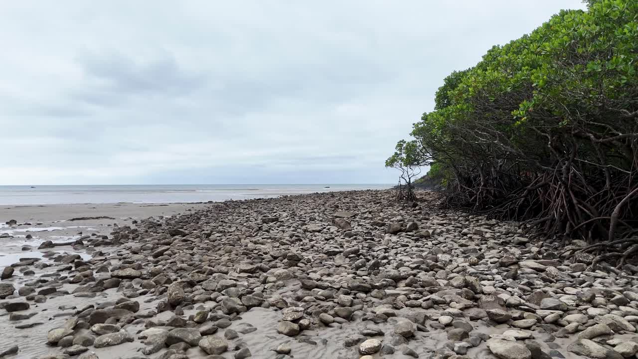 Camera moves steadily past mangrove trees and rocks on cloudy Port Douglas coastline, natural light