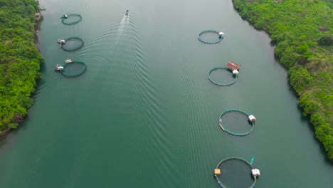 aerial view of fish ponds for bangus, milkfish