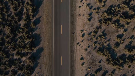 Una-Vista-Perpendicular-De-Un-Largo-Camino-En-América