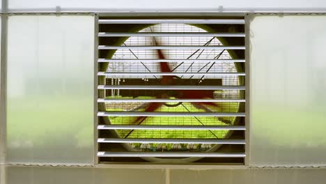 a big fan is working to ventilate the organic vegetable garden