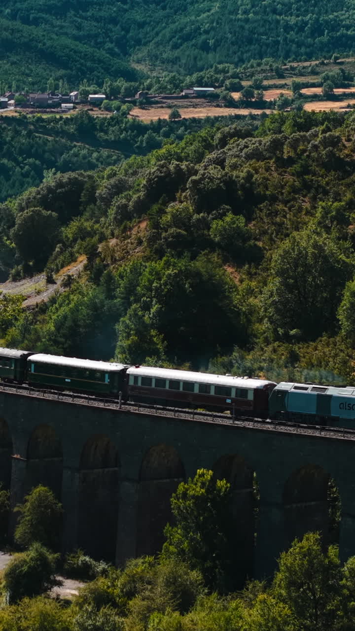 Treno su un viadotto in un paesaggio verde